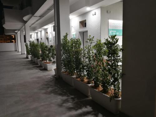 RICCIARDELLI HOLIDAY HOMES in paese di fronte al Mare in Vieste
