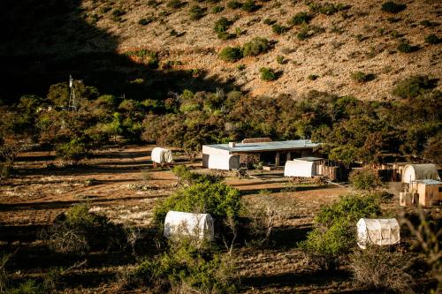 Witmos Oxwagoncamp in Somerset East