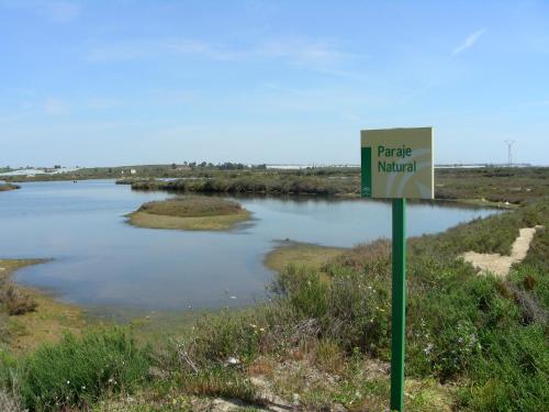 Hostal Puerta Salinas Isla Cristina - image 14