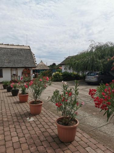 Oázis Üdülő Tiszafüred