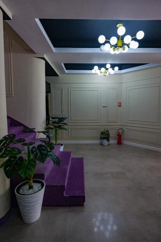 Hotel Villa Ovidiu