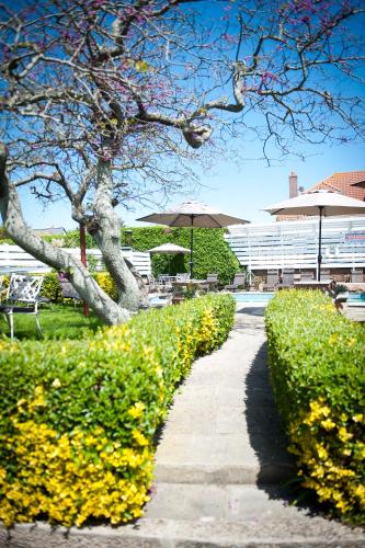 彭塔楼酒店 彭塔楼酒店