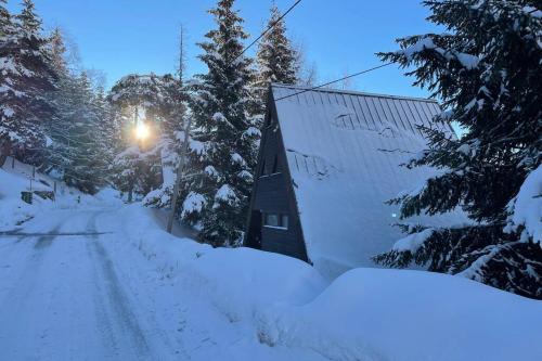 VINTAGE CHALET & QUIET COMFORT IN ALPE D'HUEZ gîte à louer Bienvenue Aux Moulins Col d'Izoard