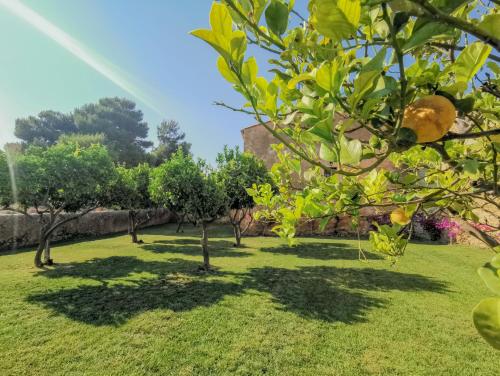 Feudo Nobile, Gela (Foto 7)