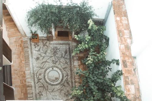 Fery & Nico, Granada (photo 10)