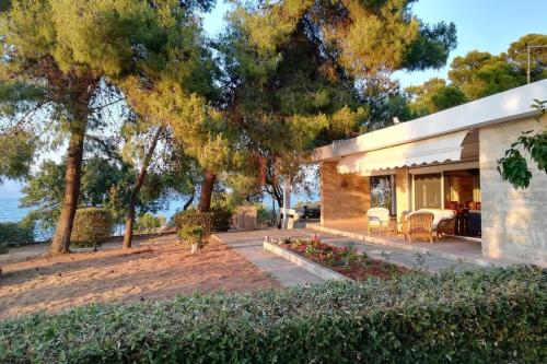 Pine tree beachfront villa - Accommodation - Drosia