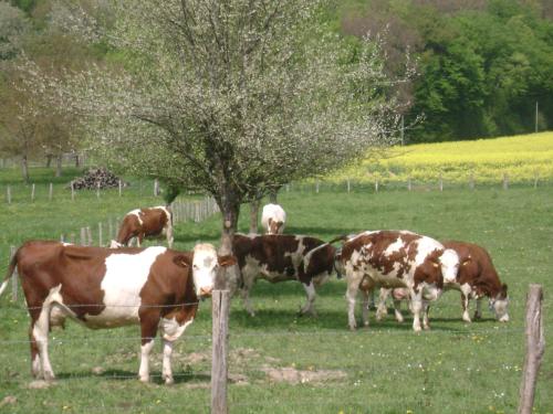 La ferme de la Velle