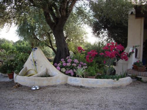 B&B Valverde, Dorgali (fotografie 8)