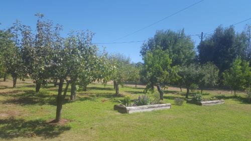 Quinta do Serrado de Belmonte