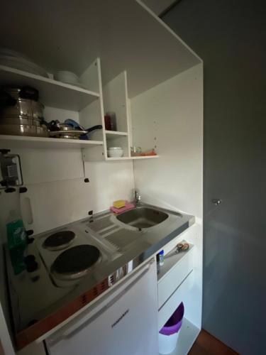 Modernes Alpenapartment mit Sauna Wintergarten und Pool, Salisburgo (foto 11)