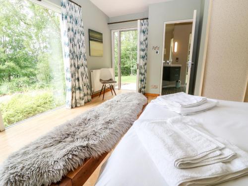 Under Catswood in เพนส์วิค