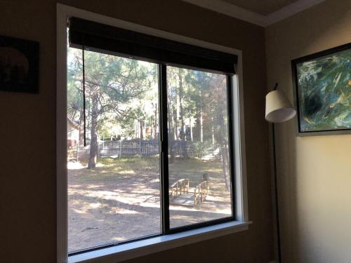 Bear Pines