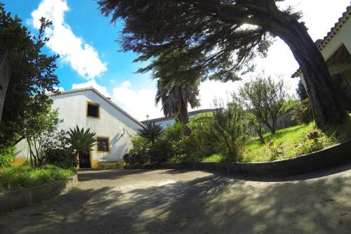 Typical Azorean Cottage gîte à louer Água Retorta