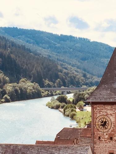 Natur und Neckarblick bei Heidelberg