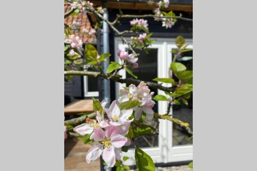 Holiday home De Heer van Bergen in Geest