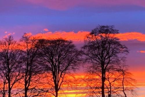 TomaX Garden Cabin Free Parking in Inshes Wood