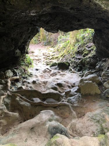 Gîte Aurinko : caravane avec bain nordique