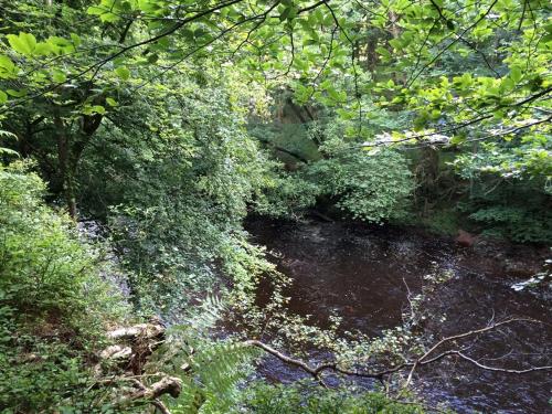 Broomhills Farm River Eco Pods