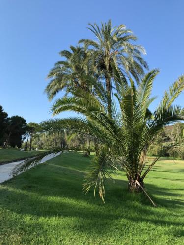 Luxury apartment in Benahavis with amazing views