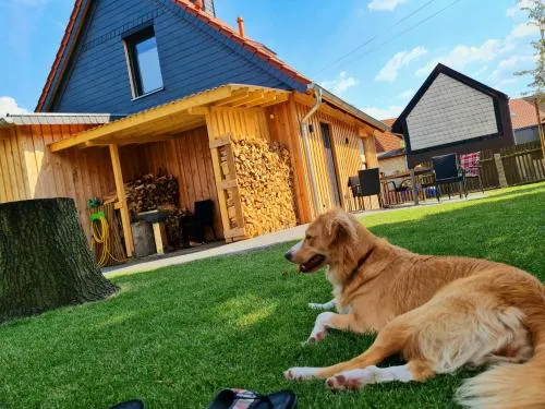 Ferienhaus Darlingerode in Darlingerode, Deutschland