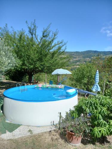 Piscina, Cà d' FeFi (Ca d' FeFi) in Genoa Waterfront