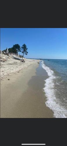 Les pieds dans l eau de Betty Ghisonaccia plage 50 m - Location saisonnière - Ghisonaccia