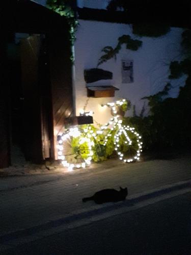 Stierstall-Suite Pension Wahlenau in Wahlenau, Deutschland