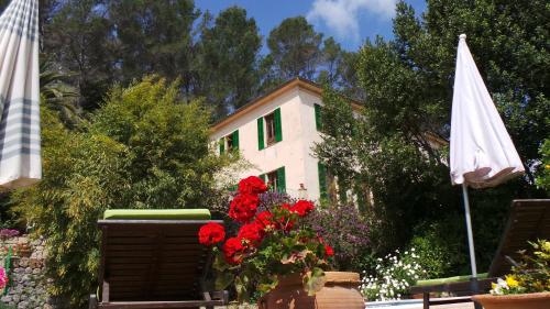Agroturisme Finca Sa Maniga - image 11