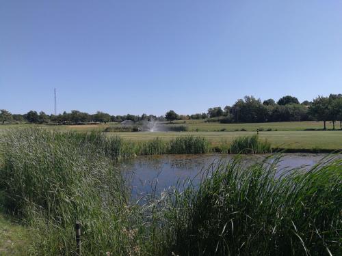 Trummenäs Golf/Bad/Restaurang (Trummenas Golf/Bad/Restaurang) in Brandamala