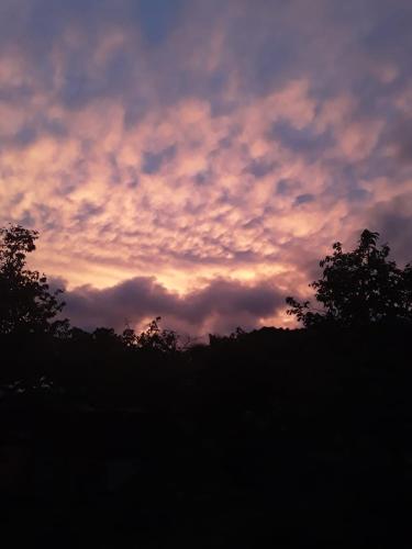 ROYAL Tapo-Tapo in Tahaa