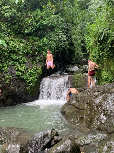 Casa Swell Coronado A unique blend of luxury and nature in the hearth of Coronado