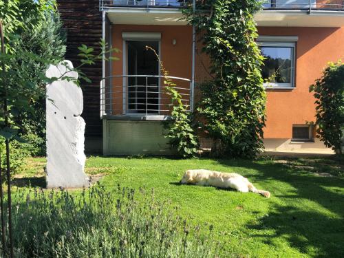  MILLIEs hosting - Familienurlaub mit Hund in Kärnten in Sankt Paul im Lavanttal