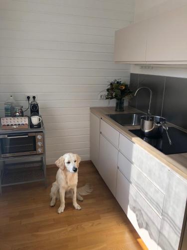 virtuve, MILLIEs hosting - Familienurlaub mit Hund in Kärnten (MILLIEs hosting - Familienurlaub mit Hund in Karnten) in Sankt Paul Im Lavanttal