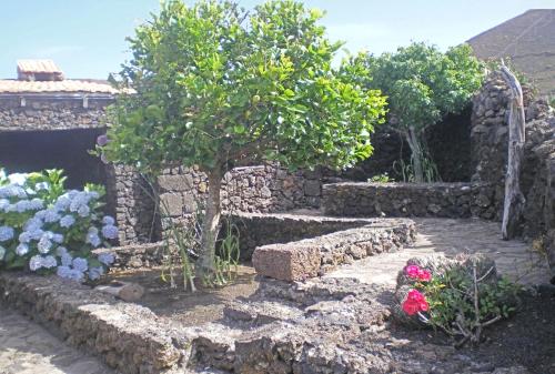 Casa Rural Aborigen Bimbache