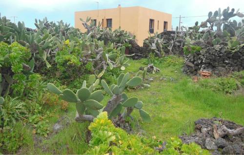 Casa Rural Aborigen Bimbache