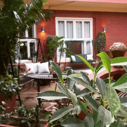 Ranjit's Svaasa Amritsar