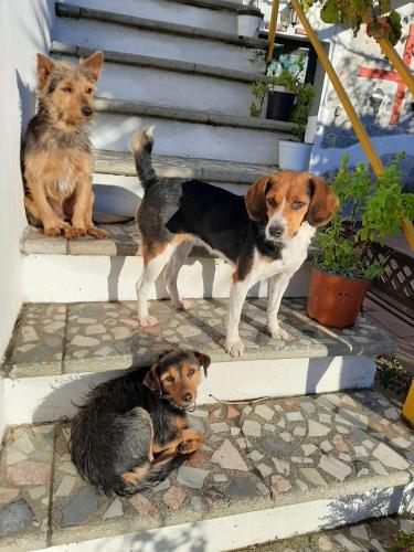 S'Imbragu Farm B&B