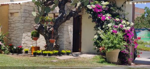 Suites Pozos Mágico (Suites Pozos Magico) in San Luis de la Paz