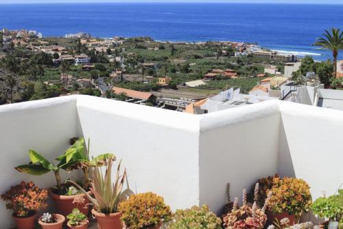 Casa Mussa