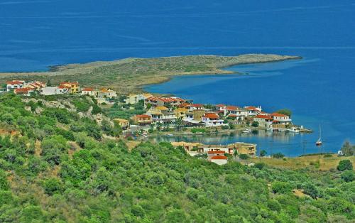 Sea View Holiday House