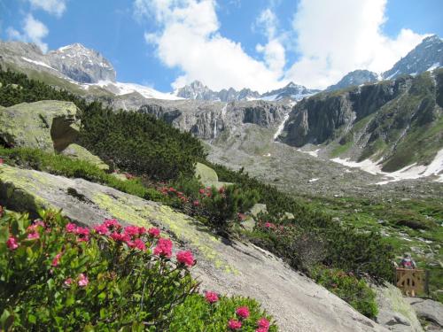 Hotel Englhof - image 2