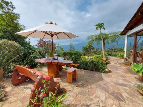 Naturaleza en armonia in 기타