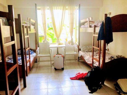 Vlora Backpackers Hostel & Bar LUNGOMARE in Vlora