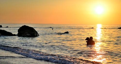 Oasi Azzurra Hotel Village - image 12