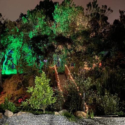 Glamping Pigmalion Santa Elena