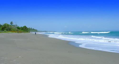 Radeya Guest House