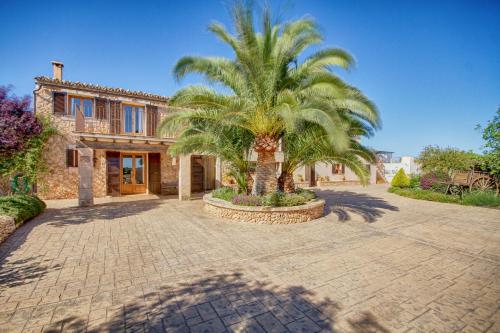 Finca Can Carro - image 8
