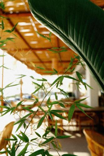 Hotel Ionian