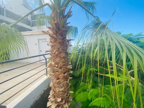  Seaview Large Terrace Apartment, Tenerife South in Los Menores