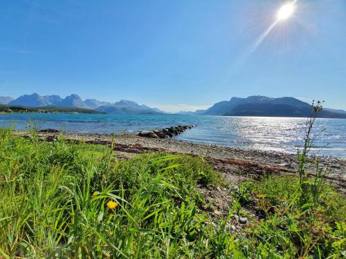 Slettvold Lyngen in Svensby
